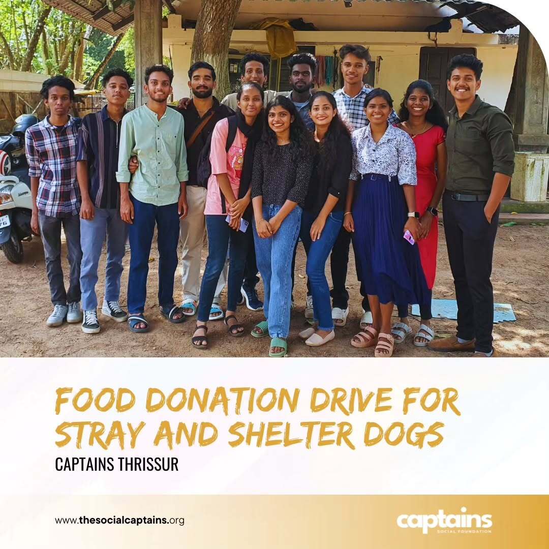 14 volunteers distributed food to 100 stray dogs in Thrissur