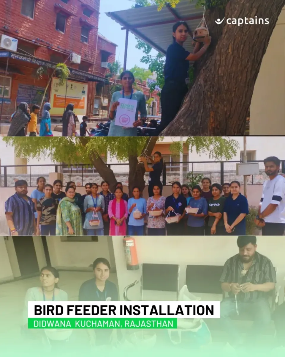 18 volunteers installed bird feeders and nests at Ladnun, Rajasthan, led by Khushi Jodha to support summer water, shade and shelter for birds.